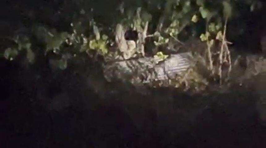 Karab&uuml;k&rsquo;te k&ouml;yde &ccedil;ıktıkları ağa&ccedil;ta incir yiyen ayılar kamerada