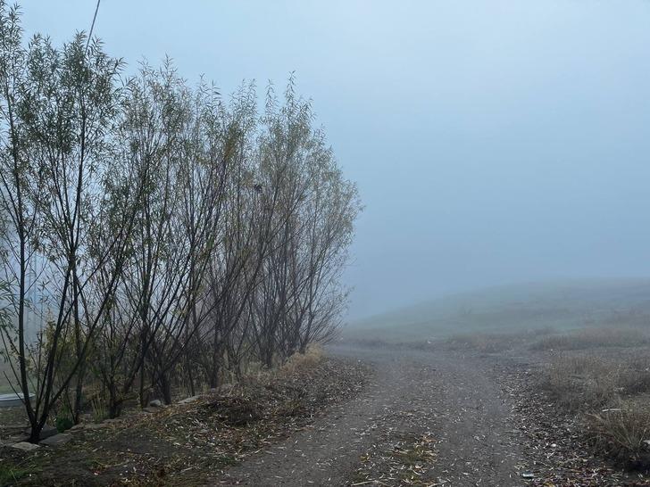 Soğuk hava kenti etkisi altına aldı! Birçok yerinde don meydana geldi G4