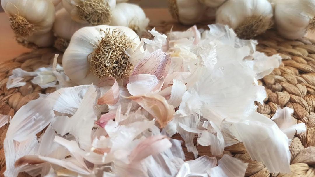 Asıl faydası kabuğundaymış! &Ccedil;&ouml;pe atmadan &ouml;nce bir kez daha d&uuml;ş&uuml;n&uuml;n! Kaynatıp i&ccedil;tiğinizde &ouml;ks&uuml;r&uuml;ğ&uuml; anında kesiyor