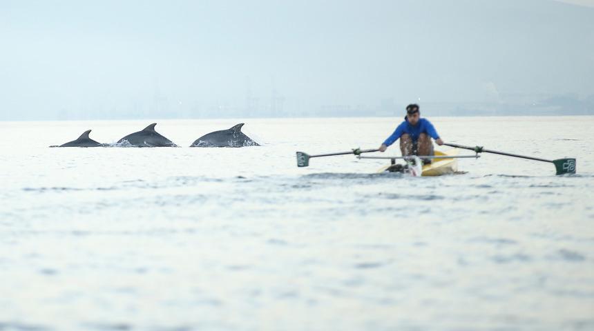 Bursa'da antrenman yapan kürek takımına yunuslar eşlik etti