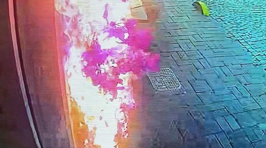 Otelin önündeki plastik çiçekleri koparmak istedi... Bir anda alev aldı "Bize faturası 100 bin TL oldu"