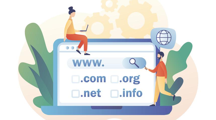 Domain nedir? Domain sorgulama nasıl yapılır?