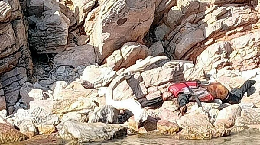 Bodrum'da can yelekli erkek cesedi bulundu