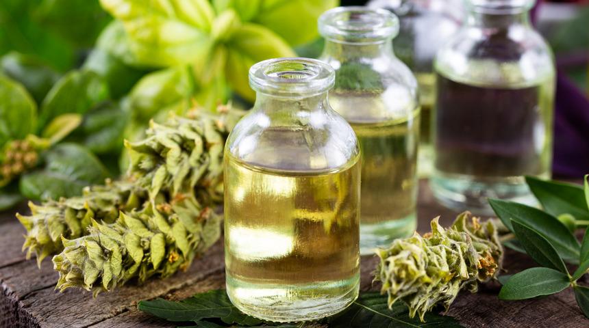 Ada çayı yağı yüze sürülür mü? Ada çayı yağı ciltte nasıl kullanılır?