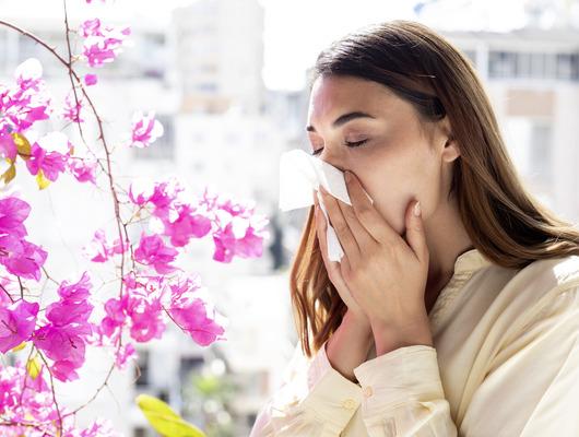 Polen alerjisine ne iyi gelir doğal yöntemler 