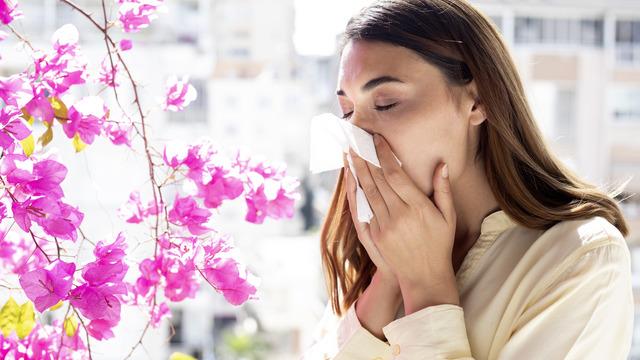 Polen alerjisine ne iyi gelir? Polenlere karşı alerjisi olanlar ne yapmalı?