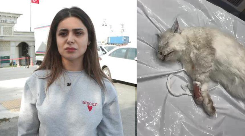 Kedisi veteriner kliniğinde öldü, aldığı cevapla şaşkına döndü! 'Sen daha iyisine layıksın'