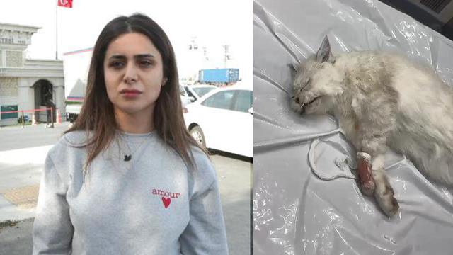 Kedisi veteriner kliniğinde öldü, aldığı cevapla şaşkına döndü! 'Sen daha iyisine layıksın'