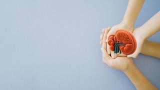 Böbrek kanseri kimlerde görülür? Böbrek kanseri kan tahlilinde çıkar mı?