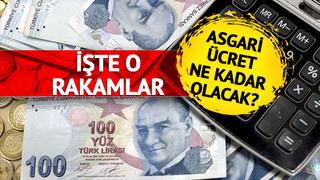 Asgari ücret ne kadar olacak? '17 bin TL civarlarına...' SGK Başuzmanı o rakamı verdi 'Yüzde 10'luk refah payı ile...' İşte tüm hesaplar