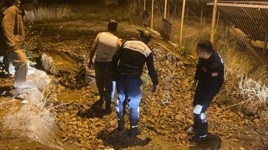 Erzincan'da gübre yığınına batan inek itfaiye ekiplerince kurtarıldı