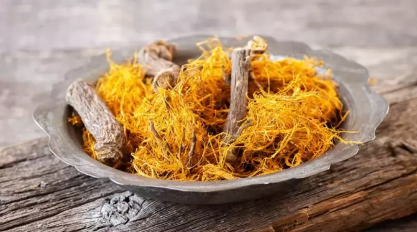 Evliya Çelebi'den '70 derdin devası'! Geleneksel Çin tıbbında reçete ediliyor! Fayda etmediği hastalık yok