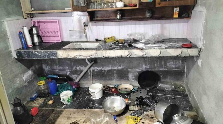 Giresun’da aç kalan ayılar yayla evlerine girdi