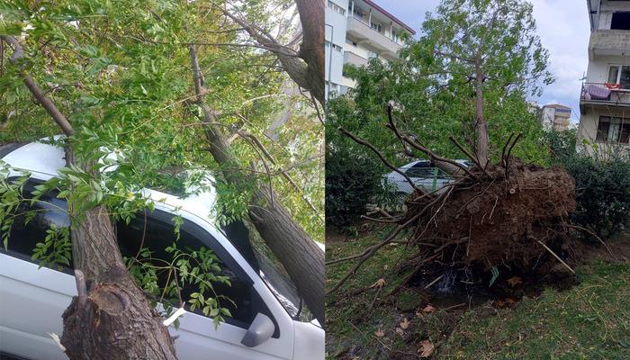 Bursa’da şiddetli rüzgar hayatı felç etti