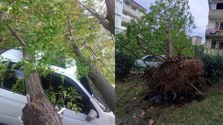 Bursa’da şiddetli rüzgar hayatı felç etti