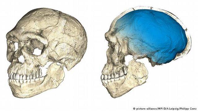 İlk insan tahmin edilenden 100 bin yıl önce de vardı