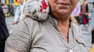Her yere birlikte gidiyorlar! Gören vatandaşlar şaşkınlıklarını gizleyemiyor