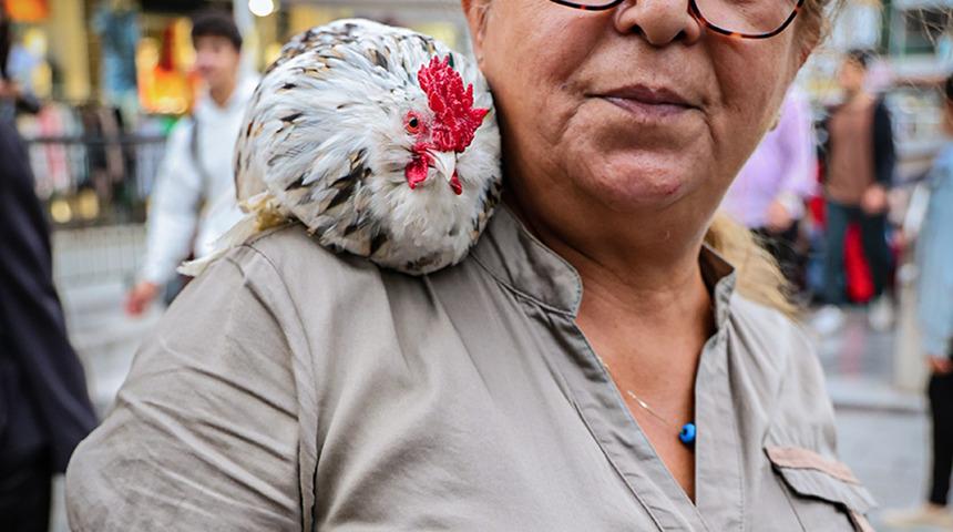Her yere birlikte gidiyorlar! Gören vatandaşlar şaşkınlıklarını gizleyemiyor