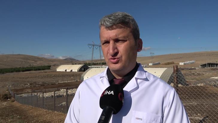 Görüntüler Amasya’dan! Koyun sürüsü durmadan döndü: Akıllara Çin’deki gizemli olayı getirdi G3