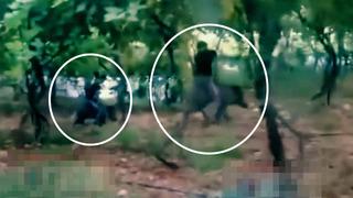 Sosyal medyada gündem olan görüntü! Seraya giren domuzun üzerine bindi diye paylaşıldı: Bunu da kaptırmadık