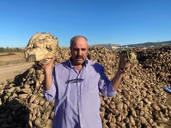 Sivas’ta bir çiftçi üretti! Mutfak tüpü büyüklüğünde: "Her zaman denk gelmiyor" G1