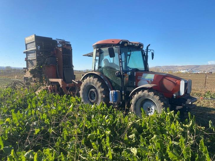 Sivas’ta bir çiftçi üretti! Mutfak tüpü büyüklüğünde: "Her zaman denk gelmiyor" G4