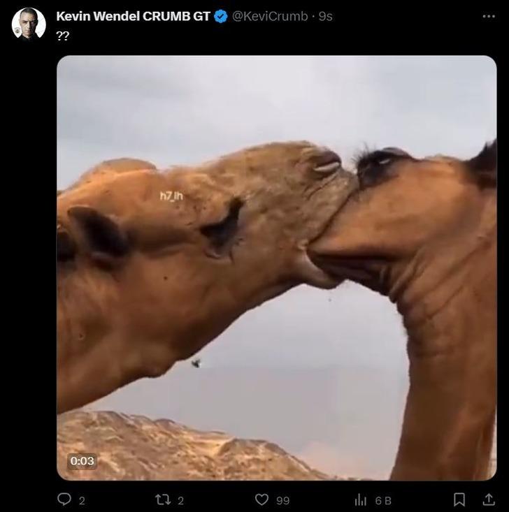 Belediye otobüsünde öpüşme sosyal medyanın diline düştü! "Resmen vakumlamış" G3