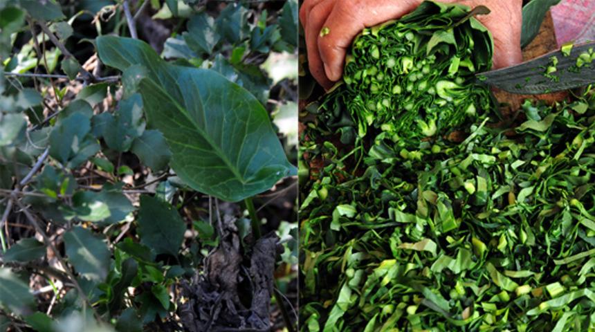 Tirşik &ccedil;orbası tarifi: Yılda 7 kez yapın mucizelere tanık olun