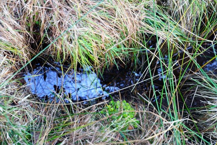 Bir ilde heyecan yaratan gelişme! Esrarengiz sıvı o iddiayı gündeme taşıdı: 'Bahar aylarında yerin altından adeta fışkırıyor' G1