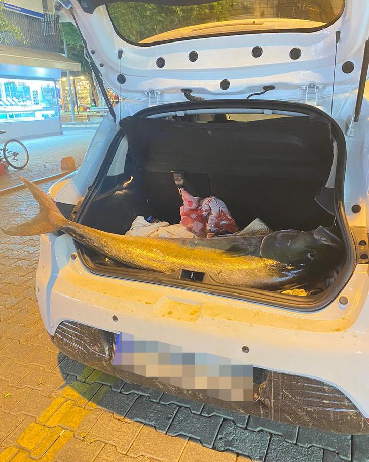 Amatör balıkçı yakaladı! Poşete sığmadı, sırtlayarak götürdü: Tam 41 kilo G2