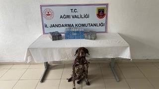 Ağrı'da kaçak akaryakıt ve sigara ele geçirildi