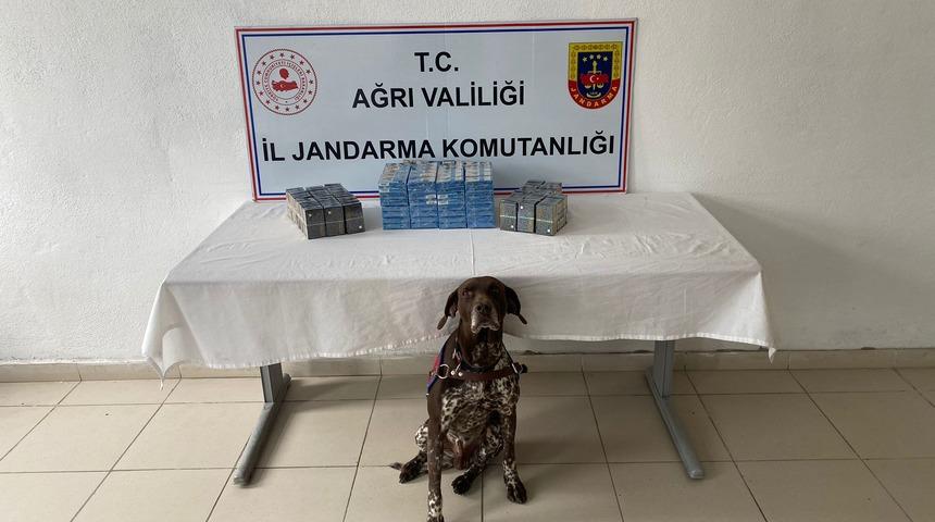 Ağrı'da kaçak akaryakıt ve sigara ele geçirildi