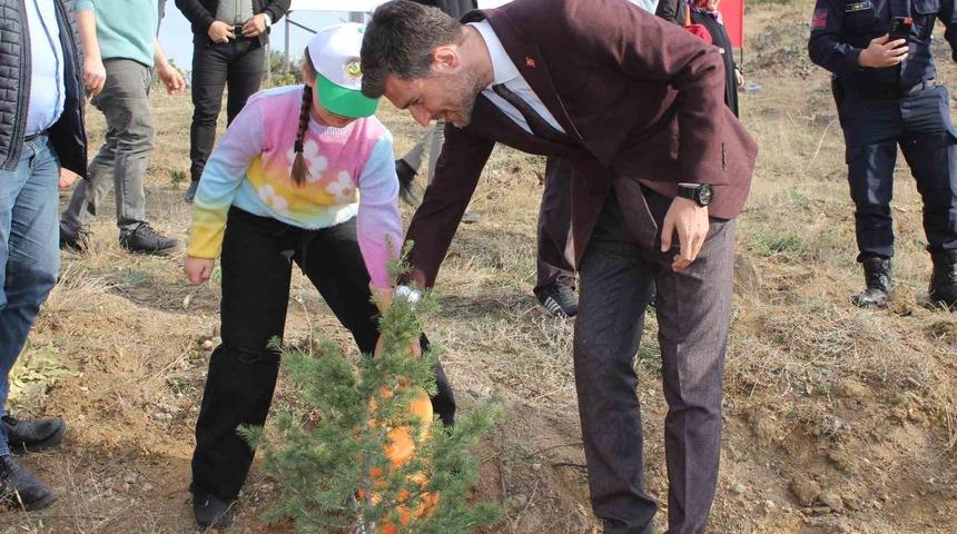 Erbaa’da 6 bin fidan toprakla buluştu