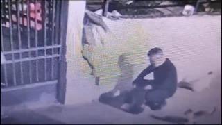 Yer: Fatih! Kedilere mama aldım diyerek kendisini savunmuştu! Tutuklama kararı verildi