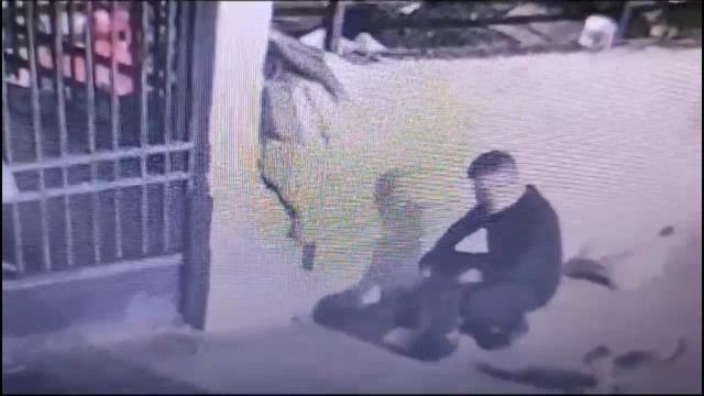 Yer: Fatih! Kedilere mama aldım diyerek kendisini savunmuştu! Tutuklama kararı verildi