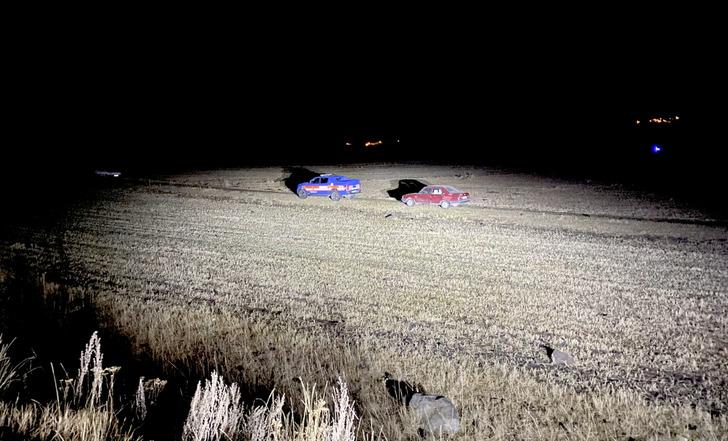 Ardahan'da çobanın paylaştığı fil fotoğrafları ortalığı karıştırdı! Jandarma fili aradı! Valilikten açıklama geldi G4