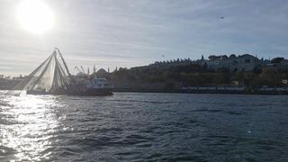 İstanbul'da gırgır ağı ile avcılık yapanlara 85 bin lira ceza! 