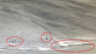 ‘Kalkan’ operasyonları sürüyor! 82 göçmen kaçakçılığı organizatörü yakalandı…