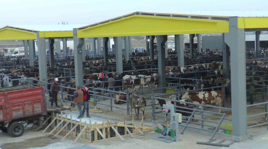 İ&ccedil; Anadolu&rsquo;nun en b&uuml;y&uuml;k Canlı Hayvan Borsası&rsquo;na &uuml;reticilerden yoğun ilgi