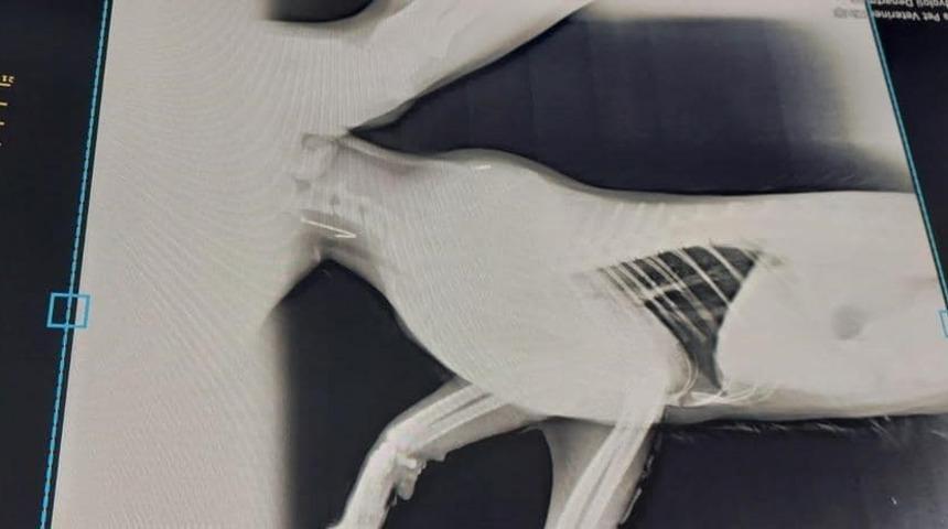 &Ccedil;anakkale Belediyesi&rsquo;nden olta balık&ccedil;ılarına uyarı