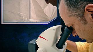 Kış uykusuna bile yatmamışlar! 'Böcek Profesörü' devam ediyorlar diyerek uyardı... Evlerinizdeki su birikintilerine dikkat