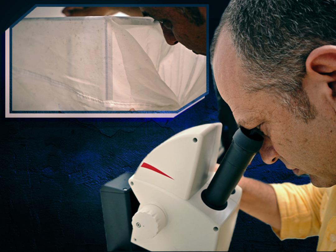 Kış uykusuna bile yatmamışlar! 'B&ouml;cek Profes&ouml;r&uuml;' "devam ediyorlar" diyerek uyardı... Evlerinizdeki su birikintilerine dikkat