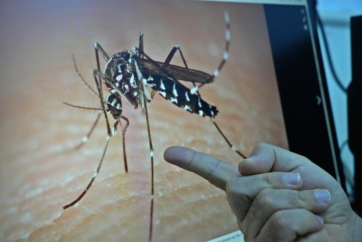 Kış uykusuna bile yatmamışlar! 'Böcek Profesörü' "devam ediyorlar" diyerek uyardı... Evlerinizdeki su birikintilerine dikkat G2