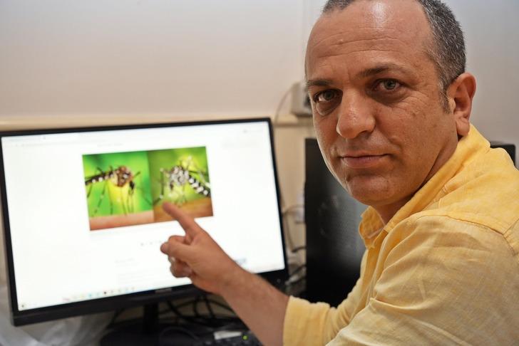 Kış uykusuna bile yatmamışlar! 'Böcek Profesörü' "devam ediyorlar" diyerek uyardı... Evlerinizdeki su birikintilerine dikkat G4