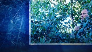 Kilosu 7 TL'den atılıyor, 200 katı fiyatına satılıyor! Hatay'da köylülerin ekmek kapısı tüm dünyada alıcı buluyor 