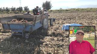 Çiftçi mısır tarlasında ölü bulundu!