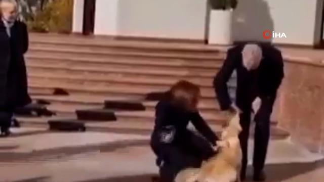 Moldova Cumhurbaşkanı Sandu’nun köpeği Avusturya Cumhurbaşkanı Bellen’in elini ısırdı! O anlar kameralara yansıdı