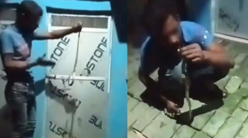 Böyle meydan okuma ne görüldü ne de duyuldu! Yılana 'beni ısır' diye bağırdı... Dilini uzatıp ısırmasına izin verince hayatını kaybetti