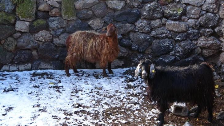Kar İstanbul'un kapısına dayandı... Bugüne dikkat! Yurdun dört bir yanından kar manzaraları G3