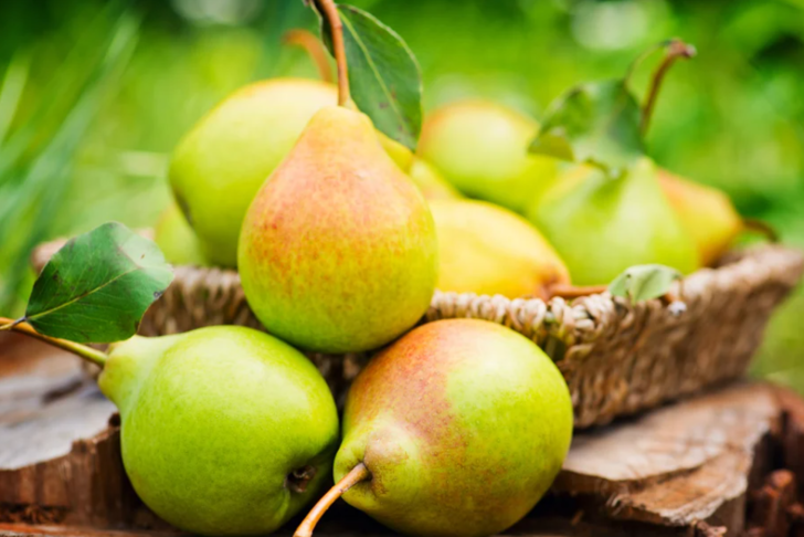 Şişkinlik ve kabızlığa son: Bağırsak dostu 5 besin! G5